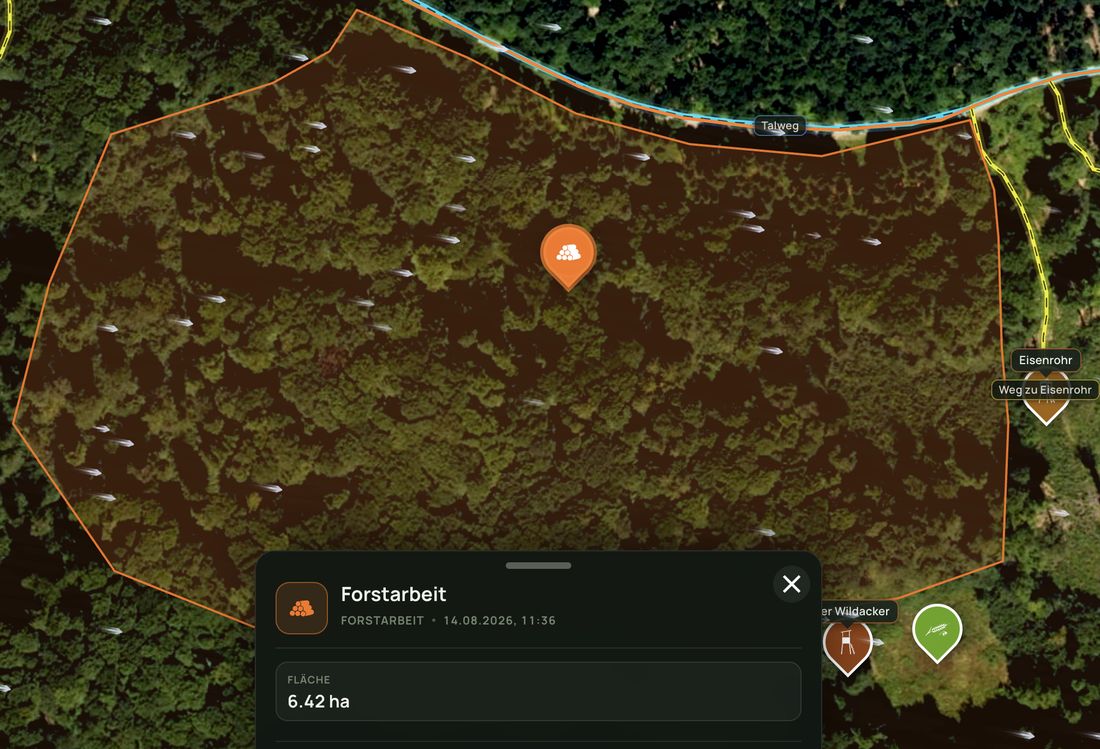 Satellitenkarte mit orange eingezeichneter Forstarbeits-Fläche; das Objekt-Fenster zeigt die Fläche mit 6,42 Hektar, daneben Hochsitz, Wildacker und der beschriftete Talweg